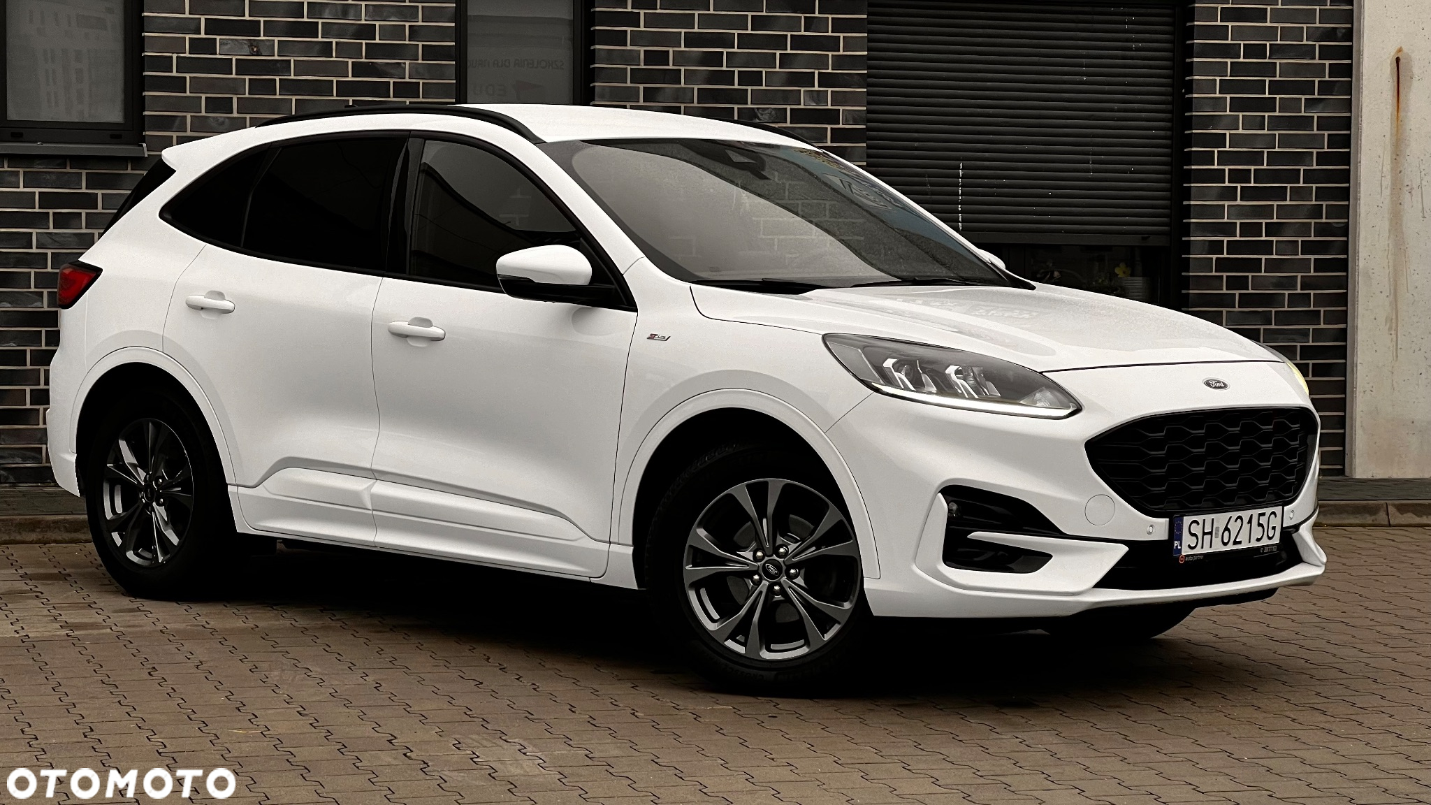 Ford Kuga 2.0 EcoBlue 4x4 ST-LINE - 11