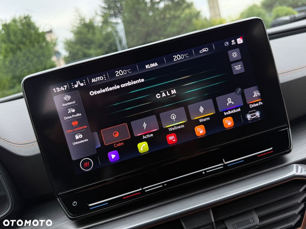 Cupra Formentor 1.5 TSI DSG - 29