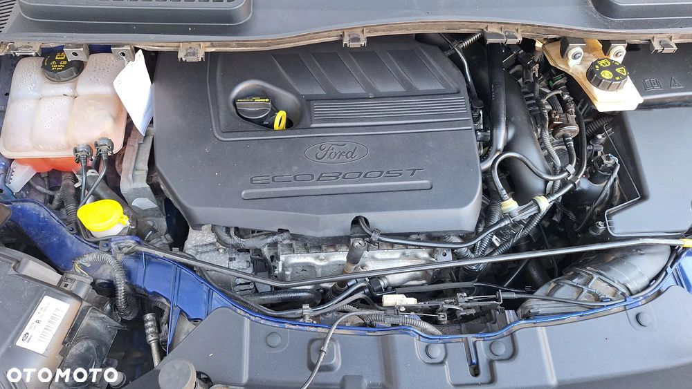 Ford Kuga 1.5 EcoBoost FWD Edition ASS - 21