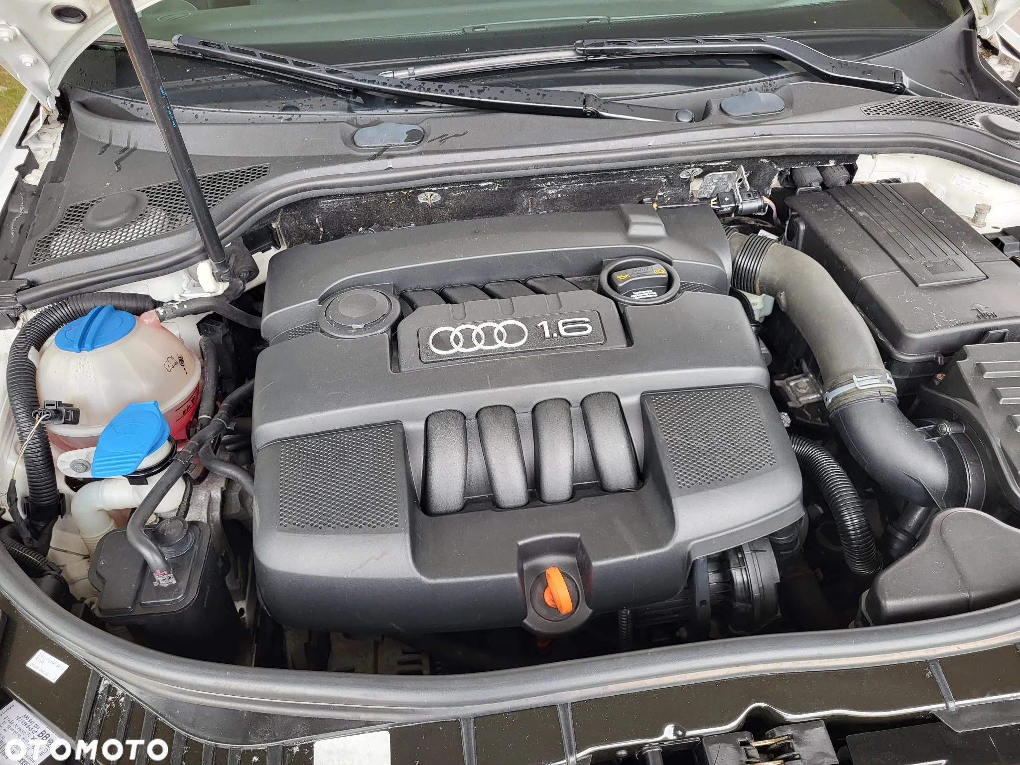 Audi A3 1.6 Sportback Ambition - 4