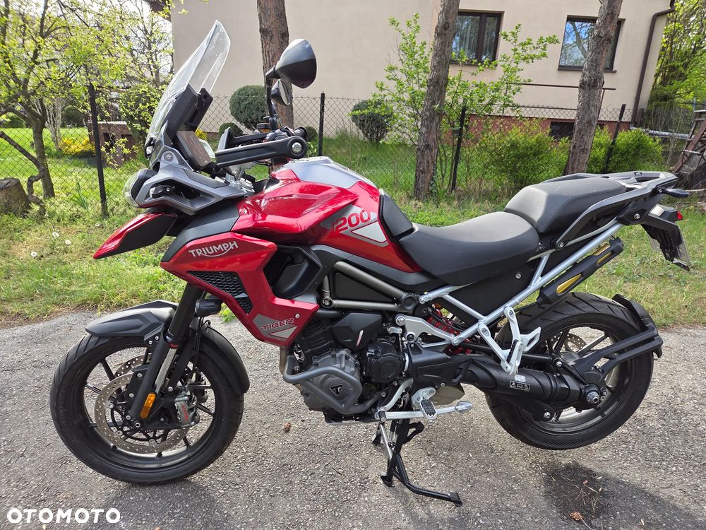 Triumph Tiger - 2