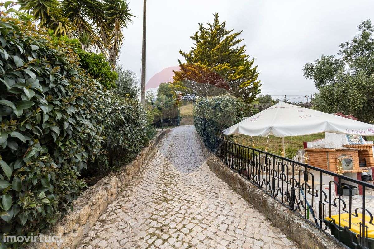 Quinta T4 para venda - Grande imagem: 3/31