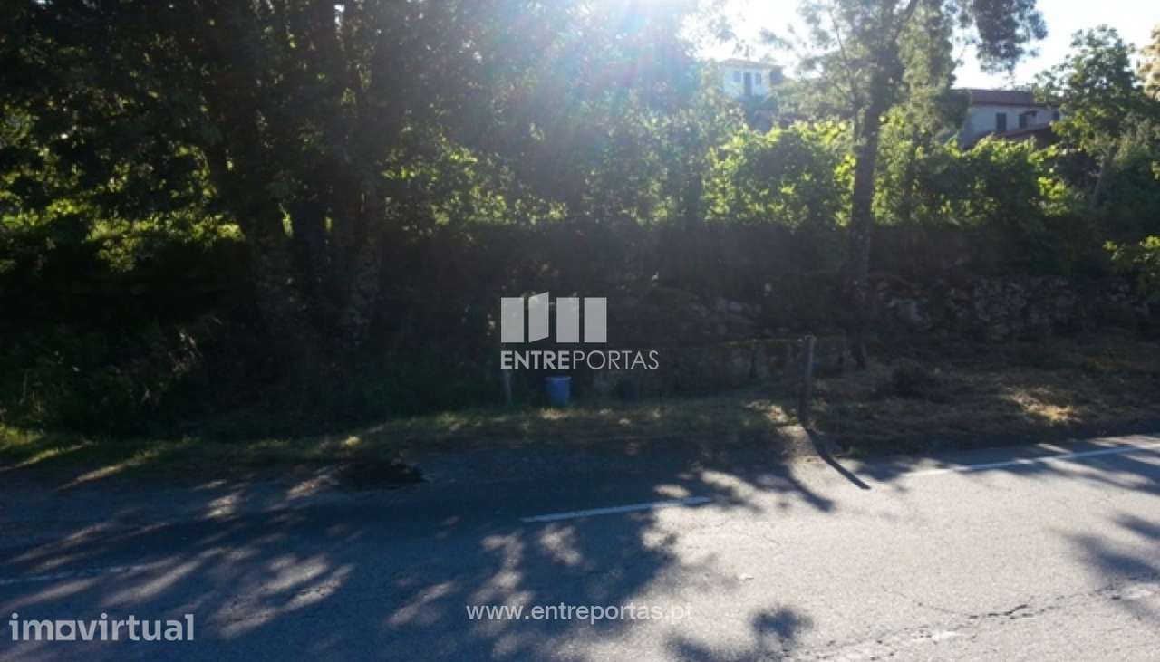 Venda Terreno, Tendais, Cinfães - Grande imagem: 3/30