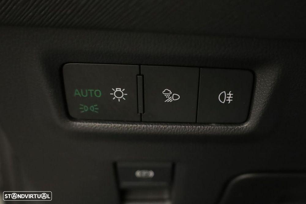 Skoda Kodiaq 2.0 TDI Ultra DSG - 18