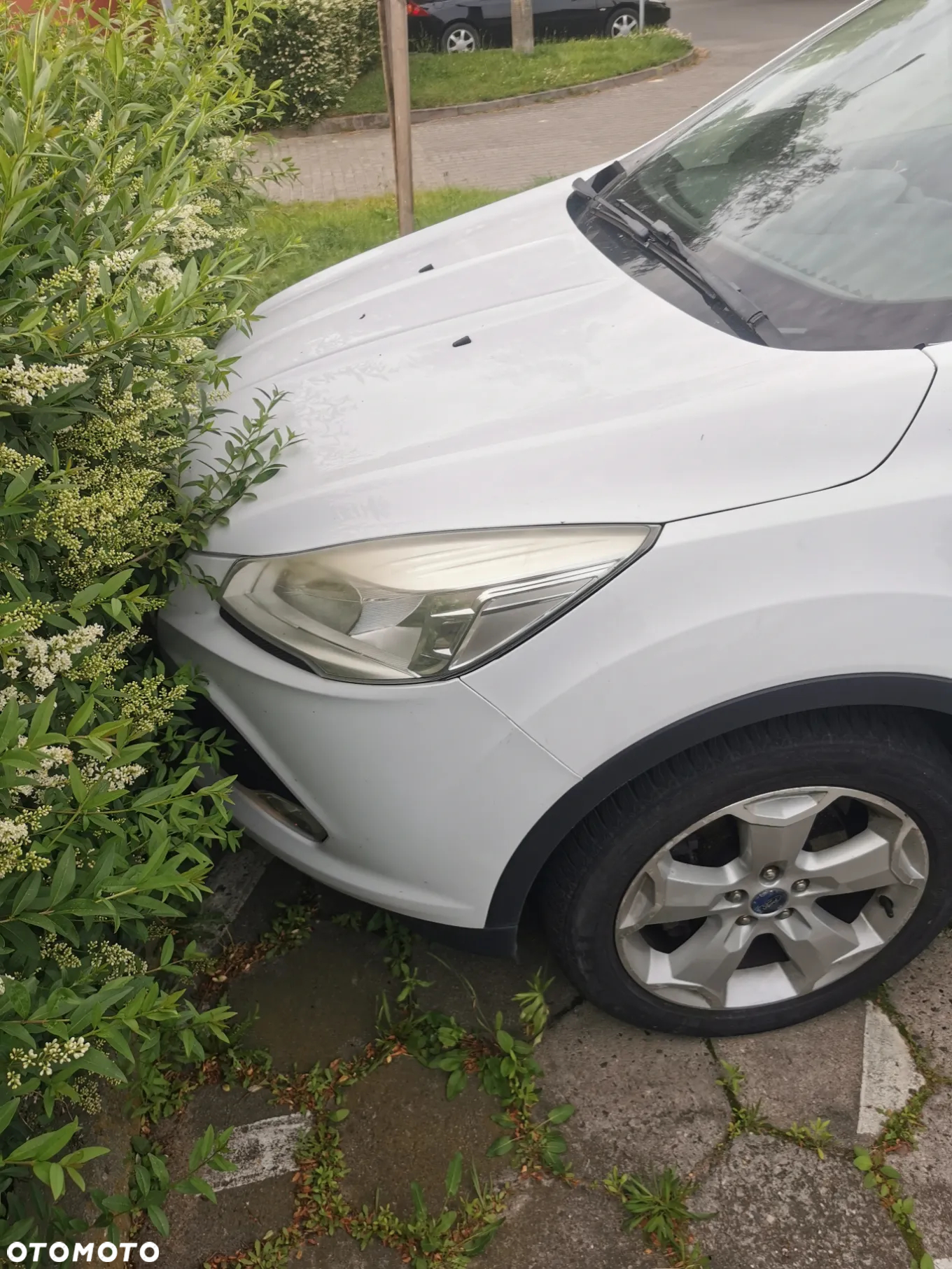 Ford Kuga - 4