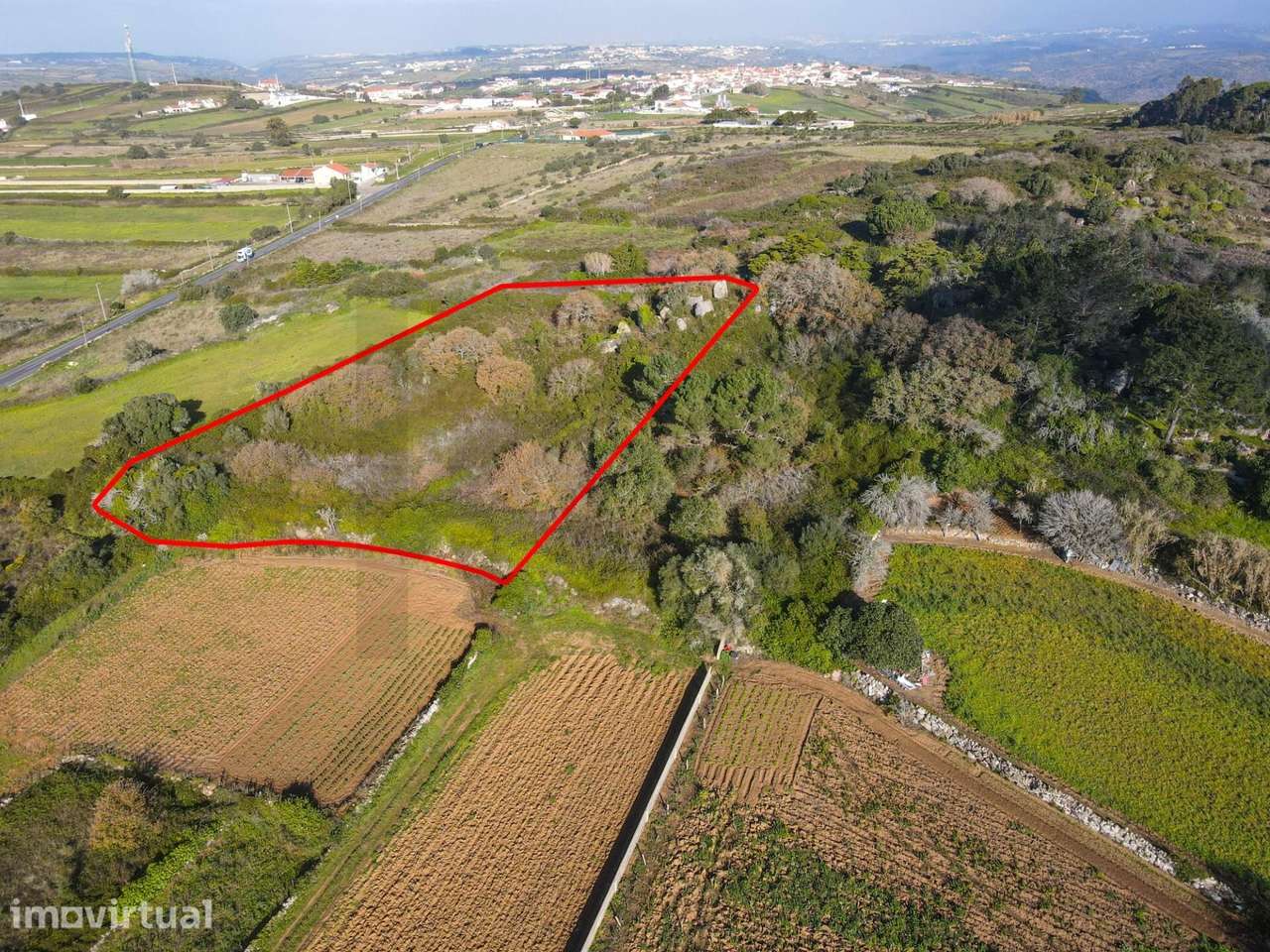 Terreno em Vinha De Chão Rijo - Grande imagem: 4/15