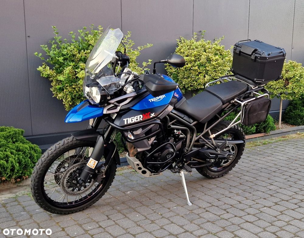 Triumph Tiger - 5