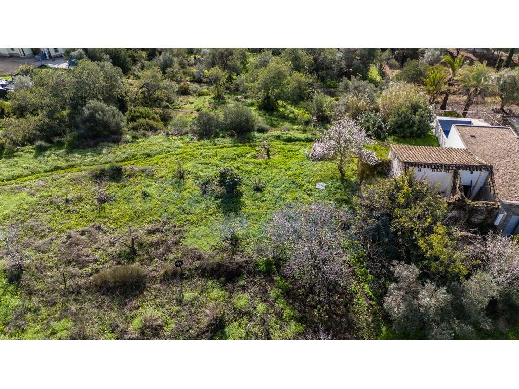Terreno urbano para construção e cultivo - Santo Estevão, Tavira - Grande imagem: 4/7