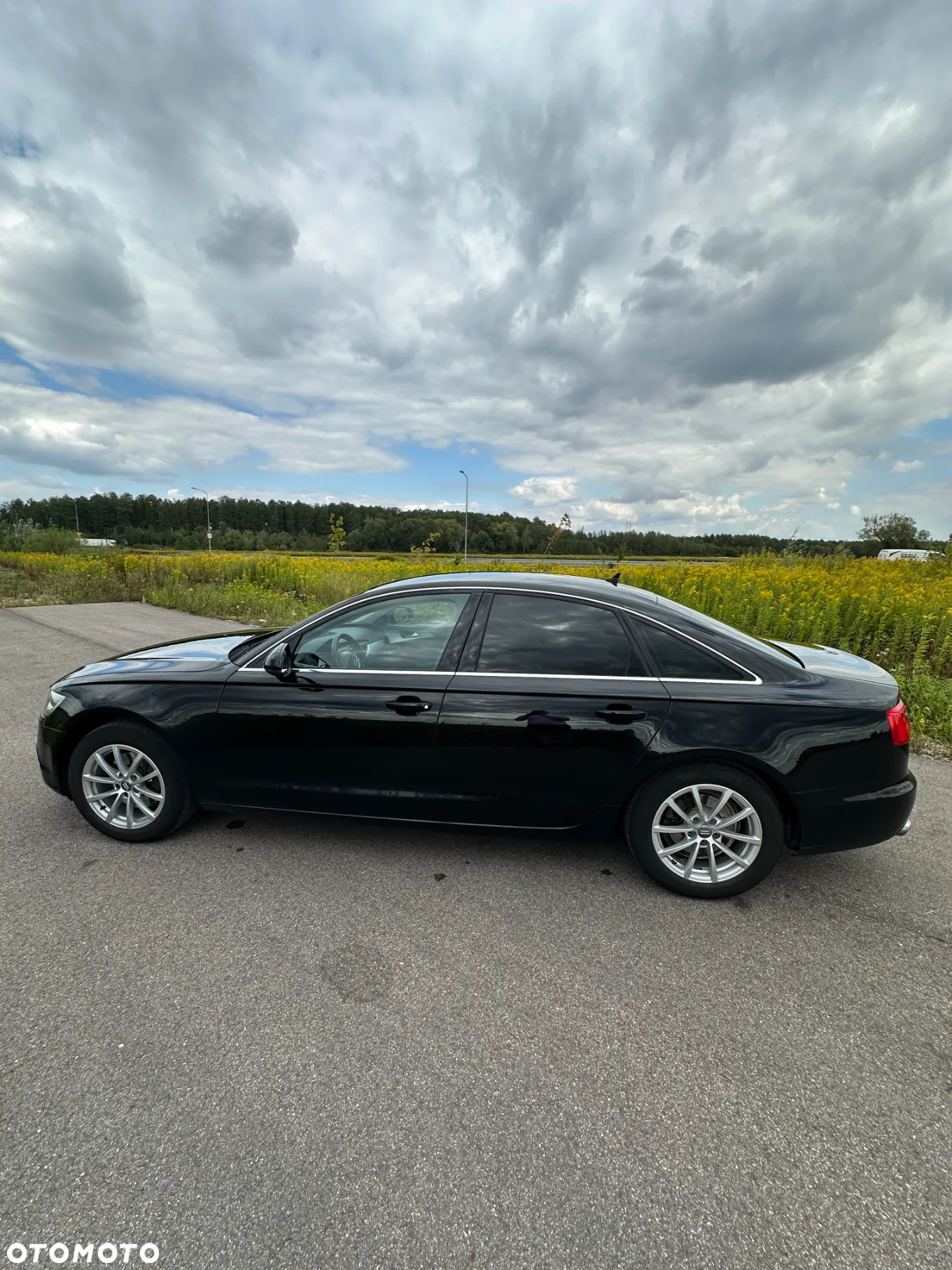 Audi A6 ver-2-0-tdi-prime-line-multitronic - 6