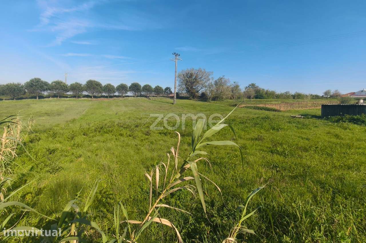 Terreno com 2100m2 para construção na Maceira - Grande imagem: 5/16