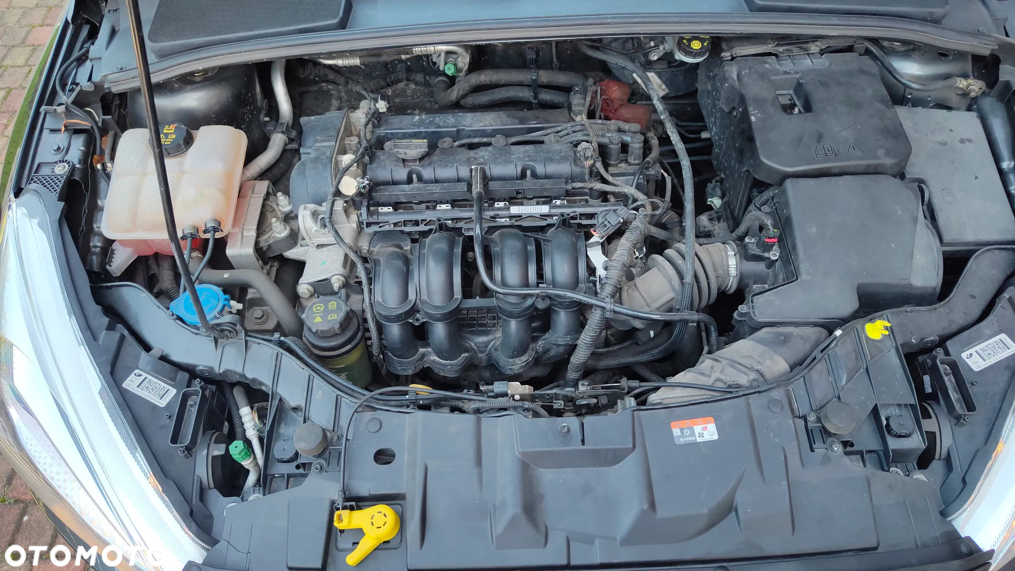 Ford Focus - 21