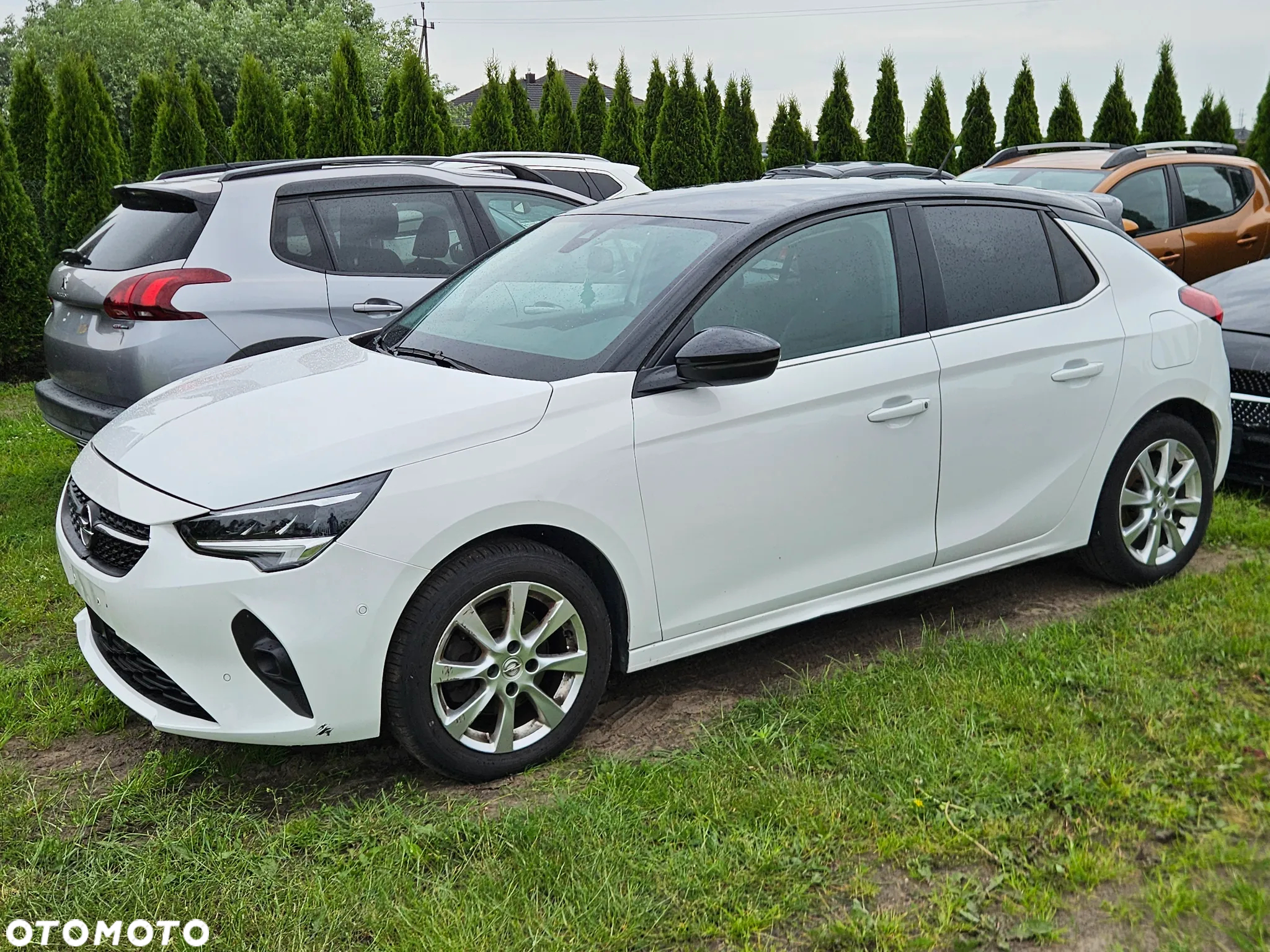 Opel Corsa 1.2 Direct Injection Turbo Automatik Edition - 5