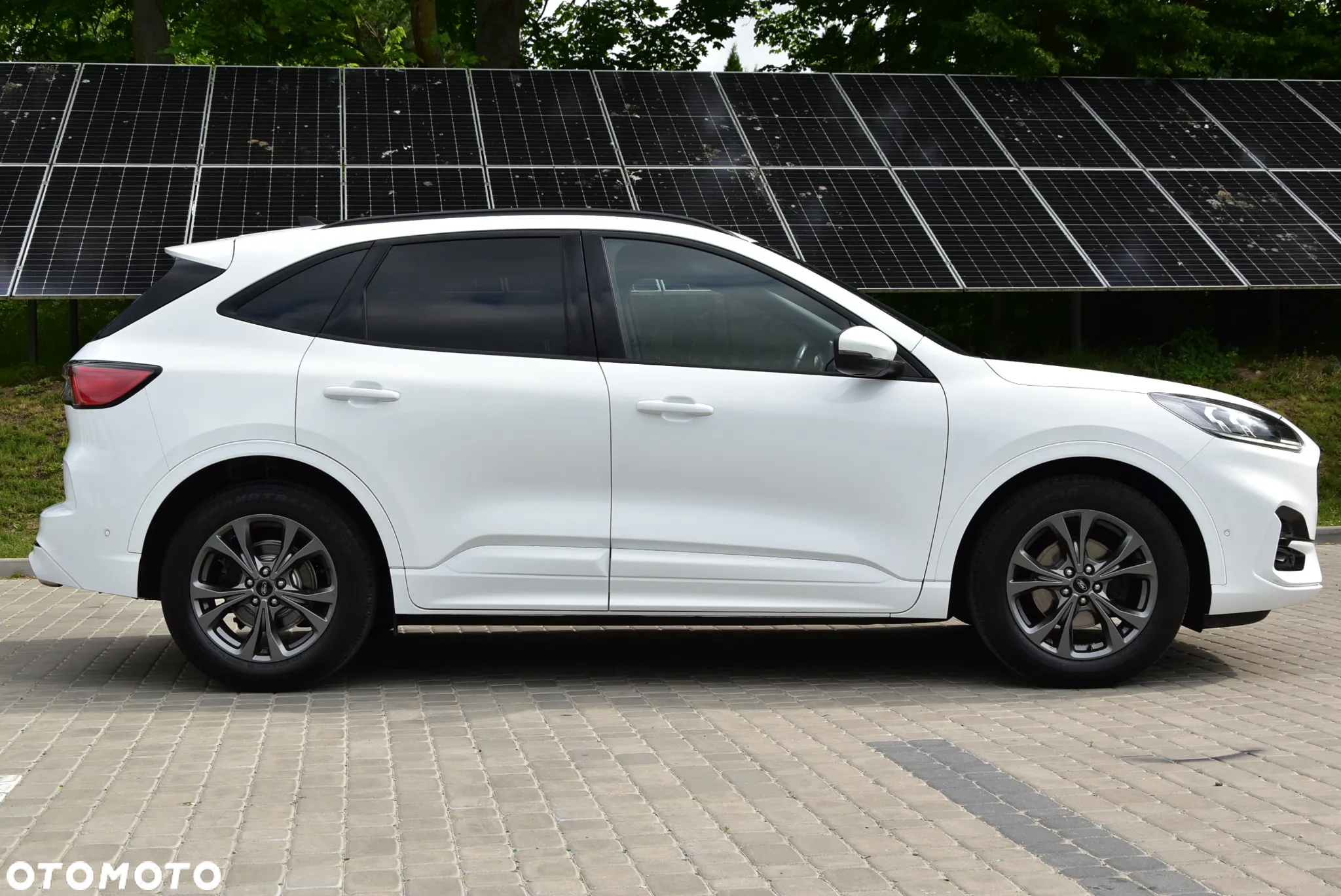 Ford Kuga 2.0 EcoBlue Hybrid ST-LINE X - 34