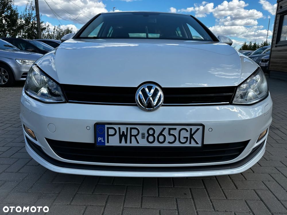Volkswagen Golf - 38