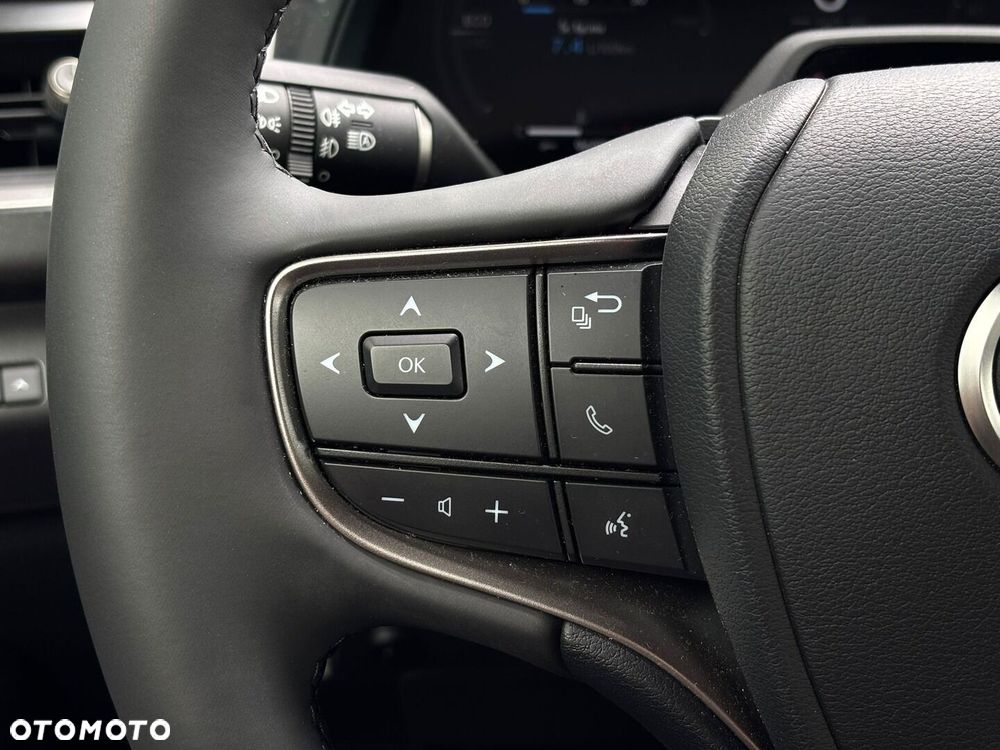 Lexus UX 300h F Sport Design - 26