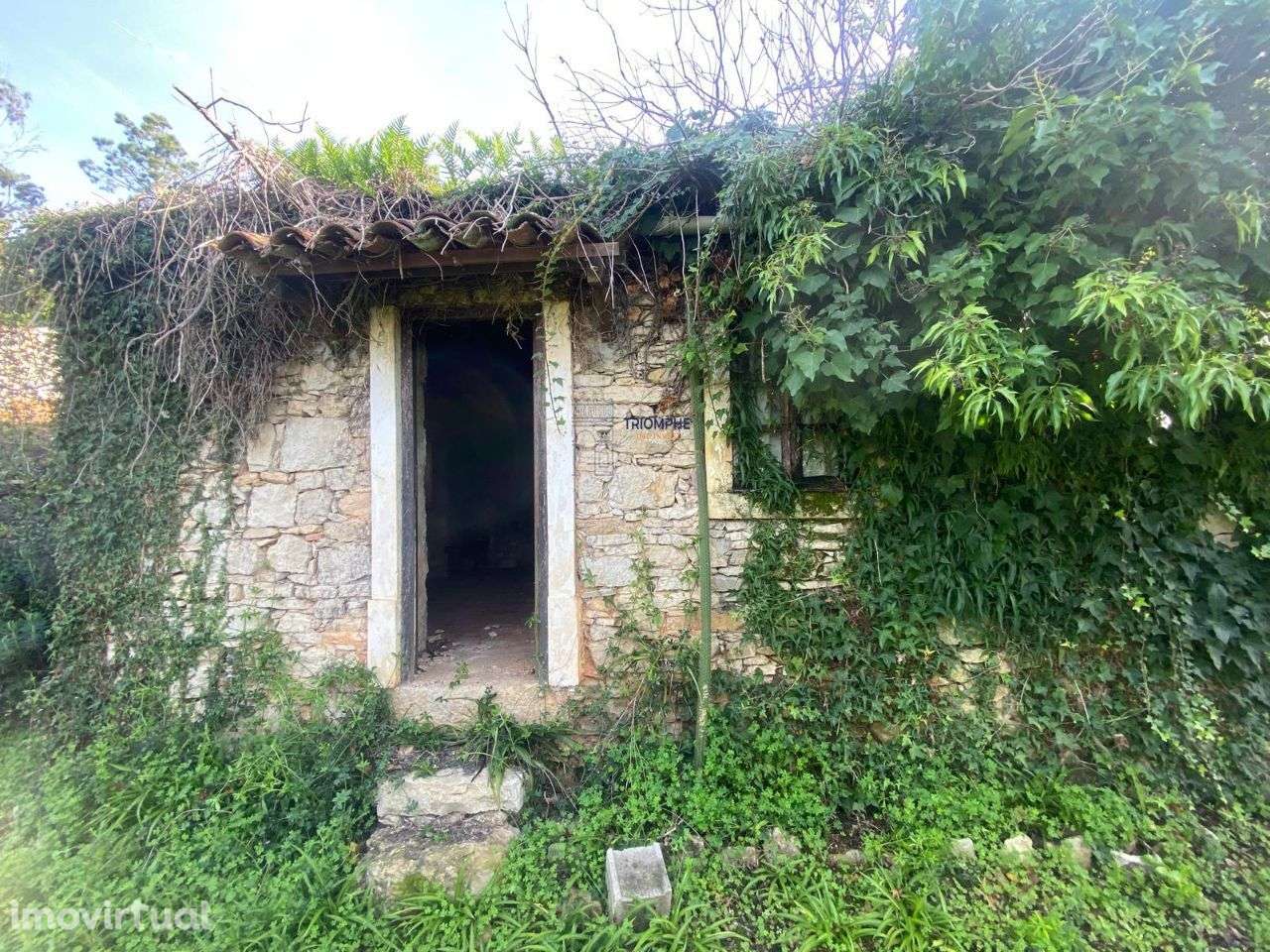 Casa Rústica Srº do Monte Leiria - Grande imagem: 3/21