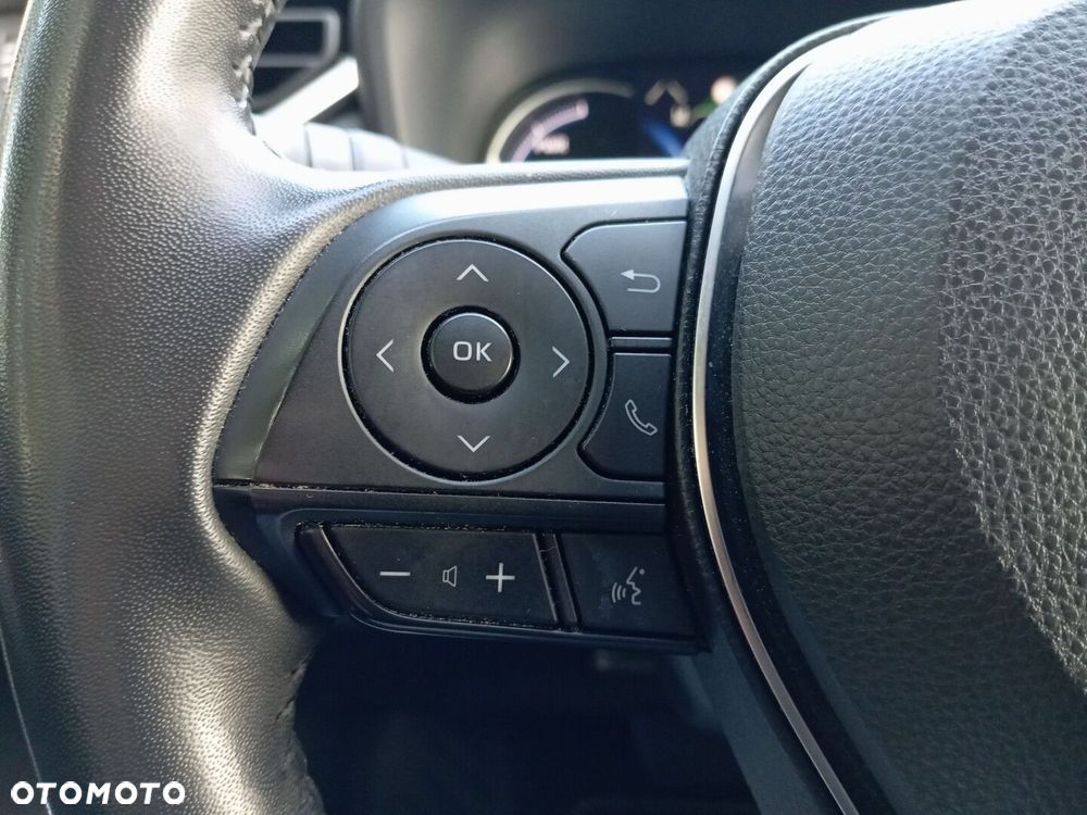Toyota RAV4 2.5 Hybrid Executive 4x2 - 15