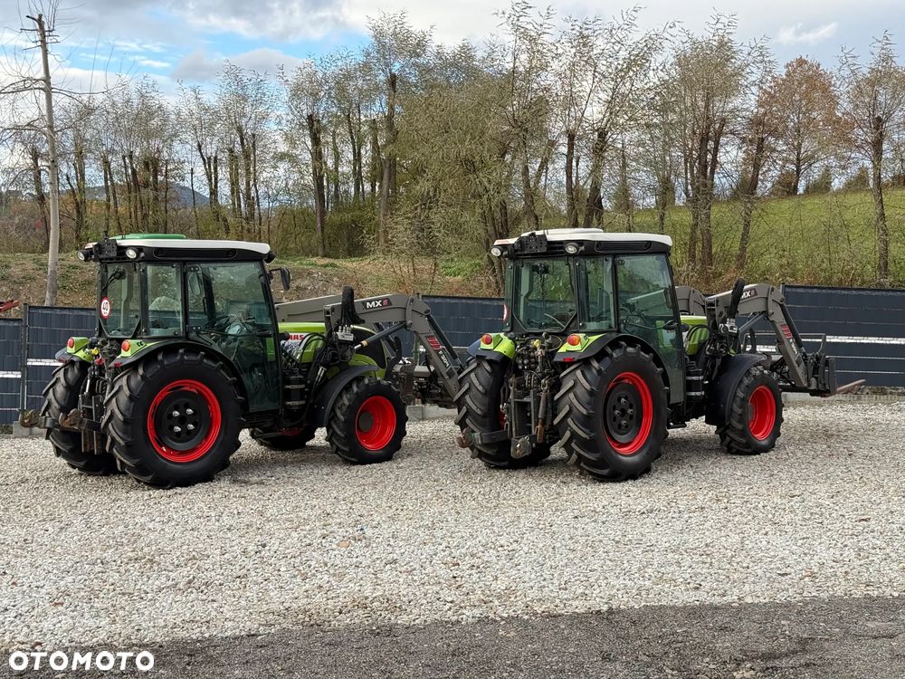 Claas * Ciągnik Traktor CLAAS 240 F NEXOS * 4x4 * Sadowniczy * Tur MX F304 * TUZ * Wałek WOM - 31