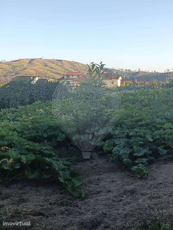 Terreno  para venda - Grande imagem: 4/5