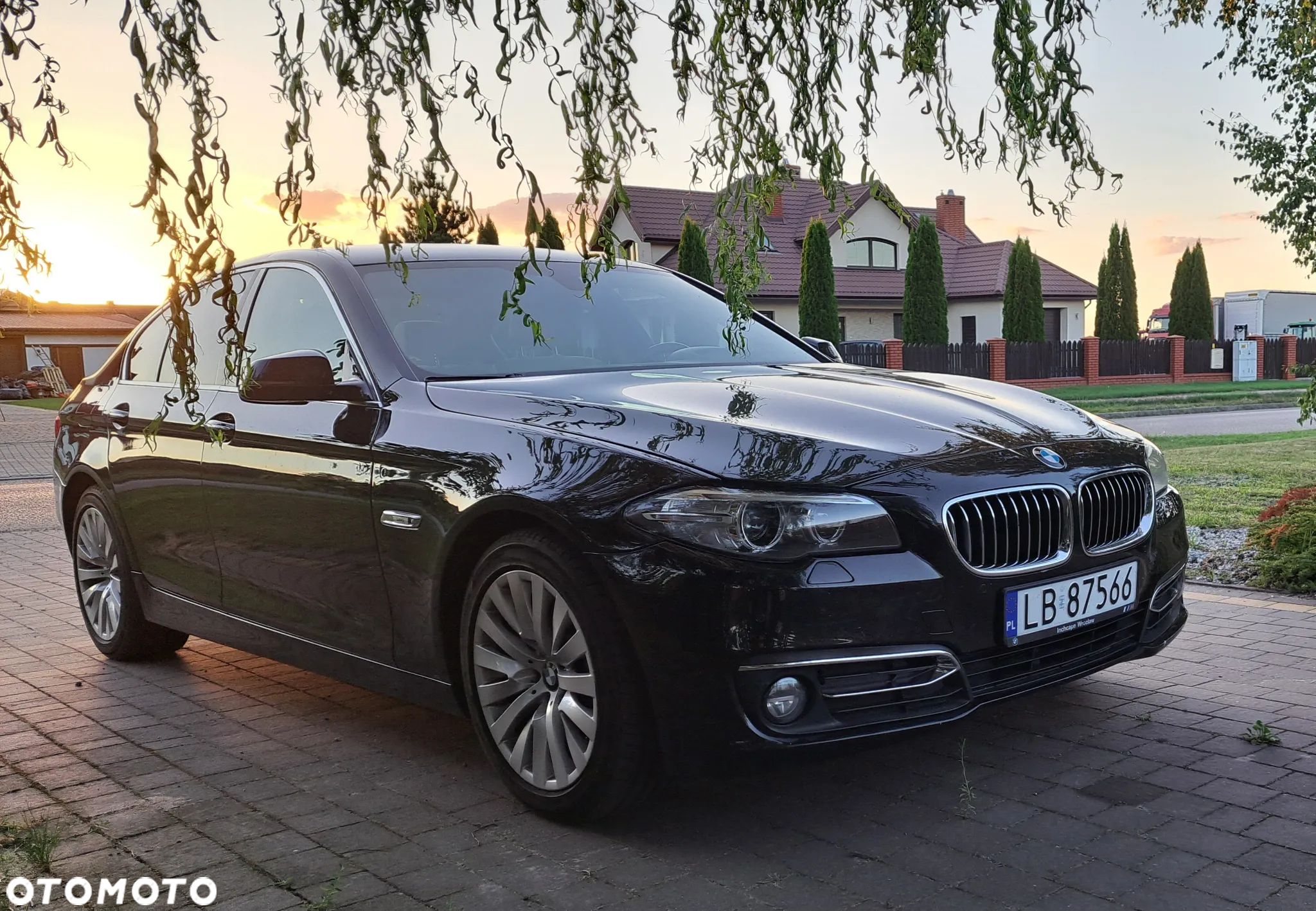 BMW Seria 5 520d xDrive Luxury Line - 1