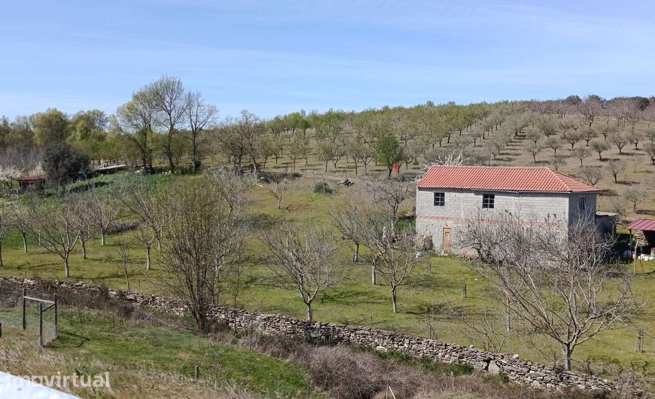 10Ha(100000m2)Terreno Agrícola DuasIgrejas água c/ maquinaria agrícola - Grande imagem: 3/10