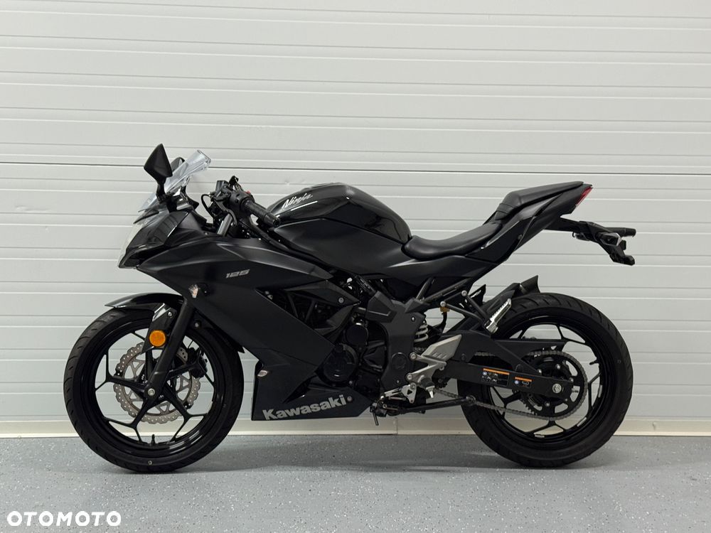 Kawasaki Ninja - 16