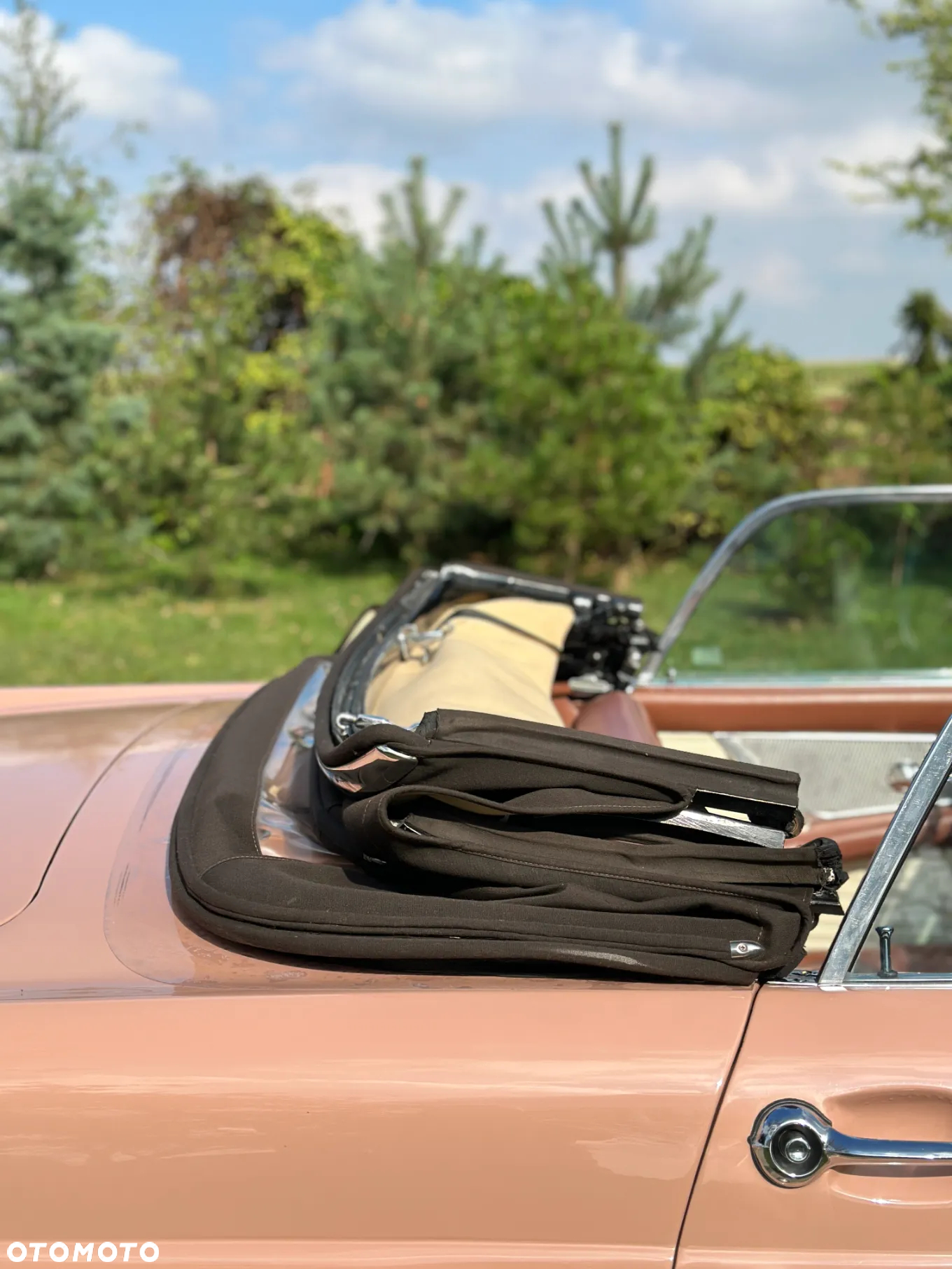 Ford Thunderbird - 33