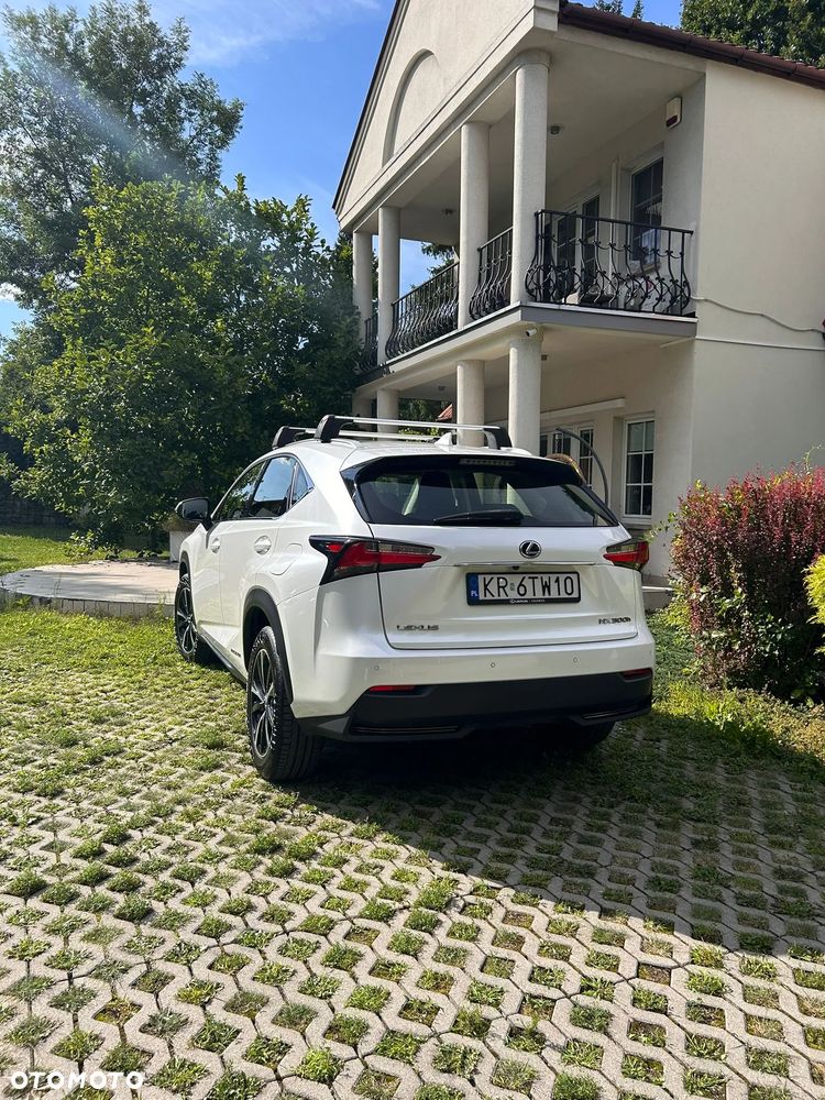 Lexus NX - 6