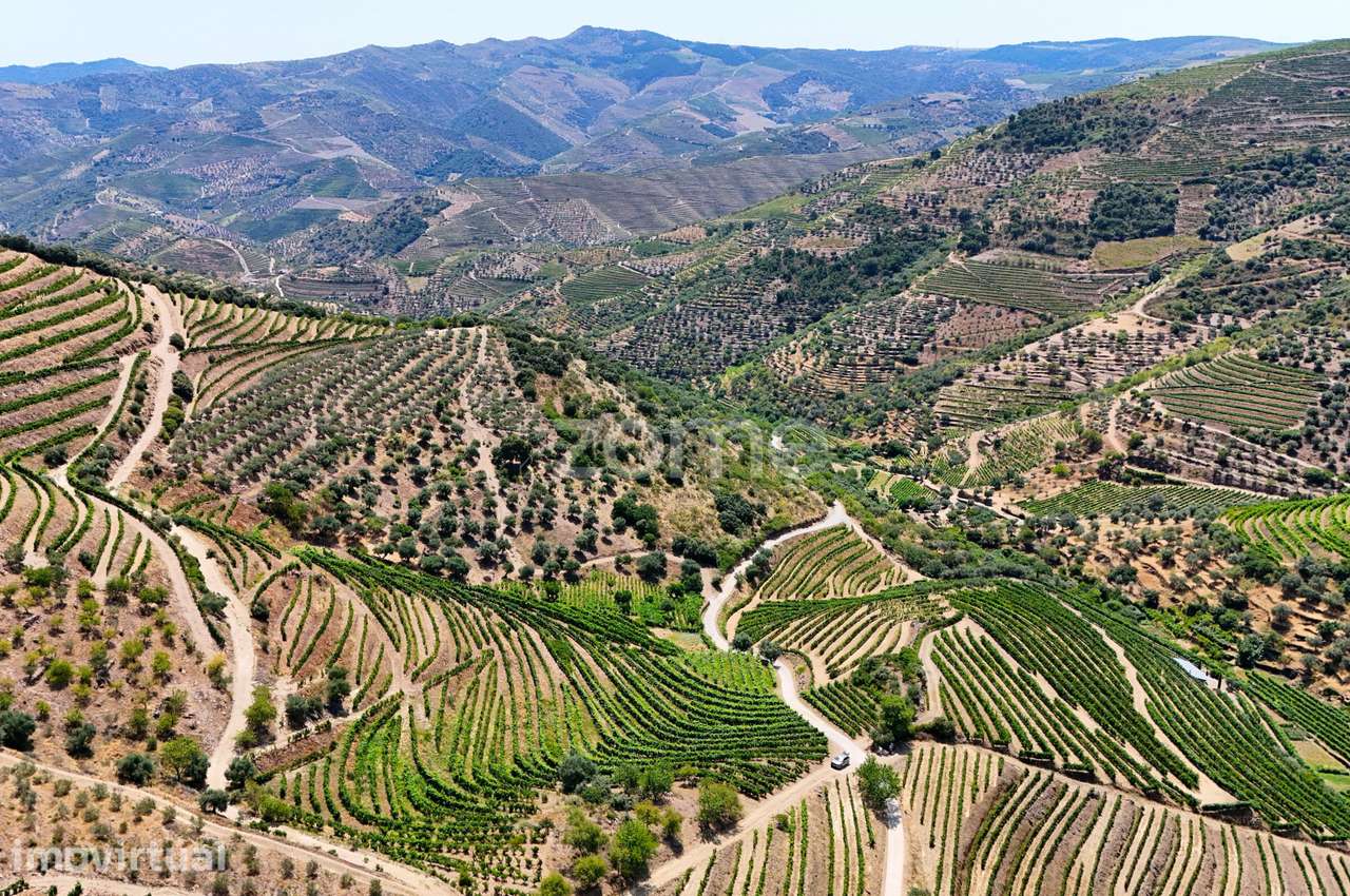 Terreno com 20.163 m² e Vistas Deslumbrantes sobre o Rio Douro