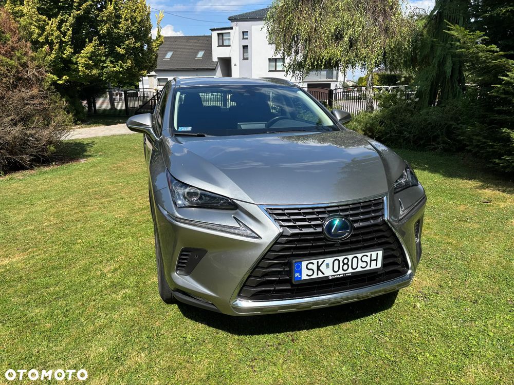 Lexus NX 300h Elegance Optimum AWD - 1