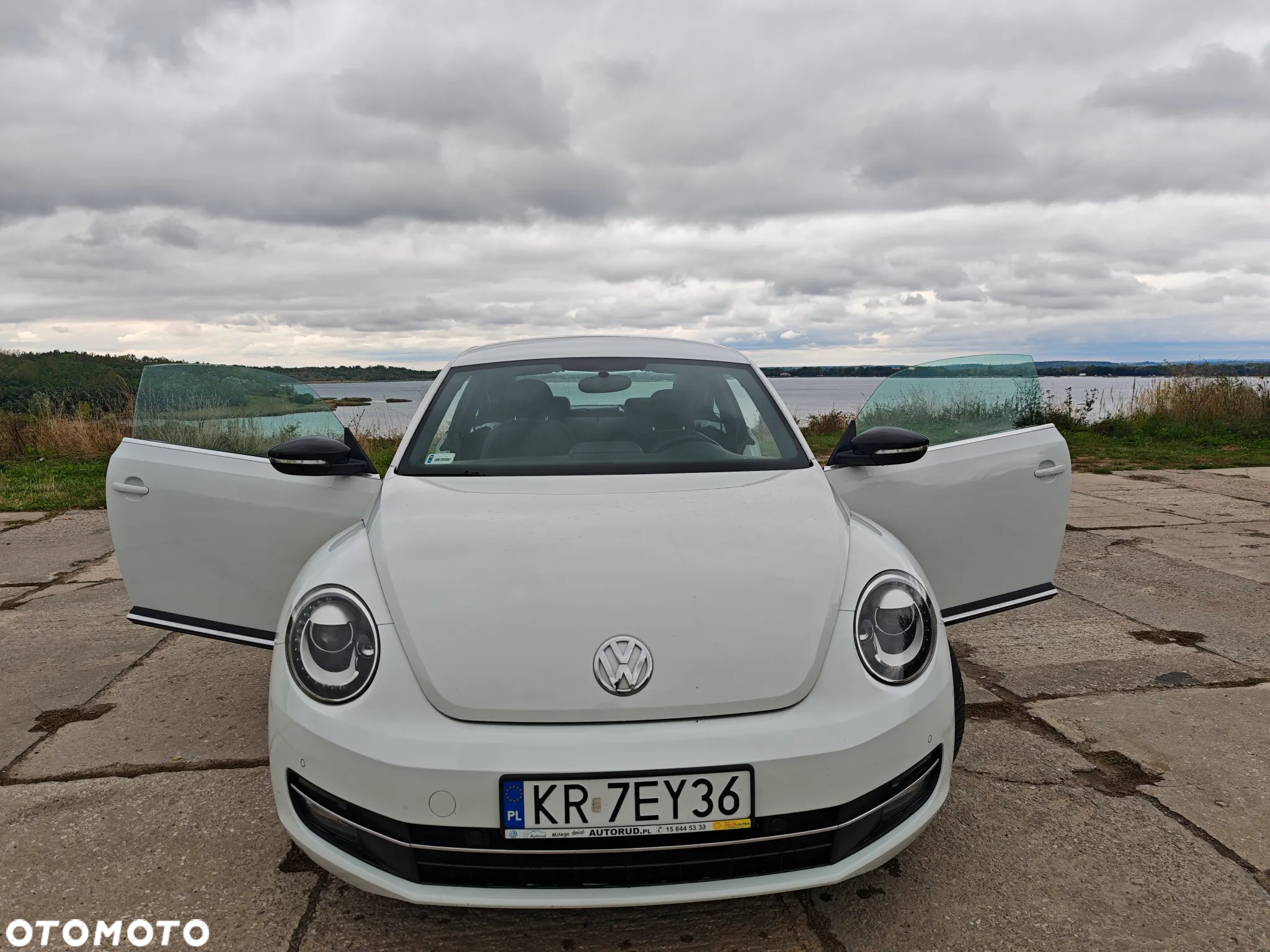 Volkswagen Beetle - 3
