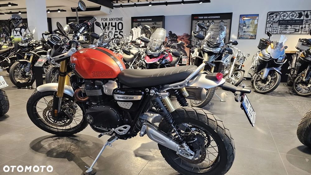 Triumph Scrambler - 2