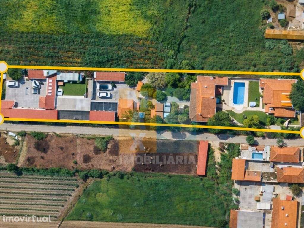 Quinta com 4.880 m2 - Alpiarça - Grande imagem: 2/48