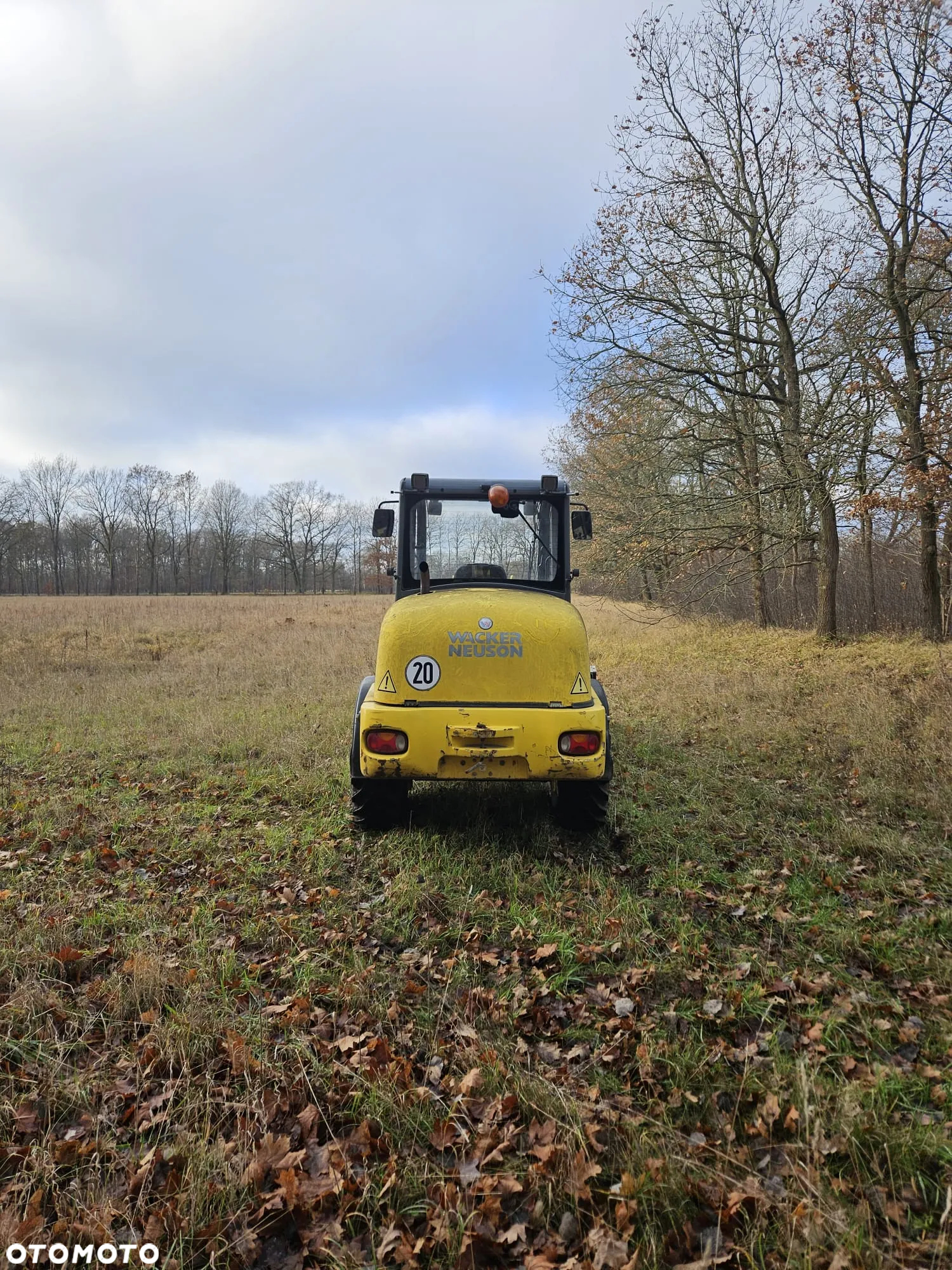 Wacker Neuson WL 54 - 6
