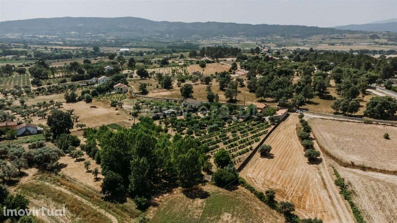 Quintinha T3 / Fundão, Aldeia Nova - Grande imagem: 2/20