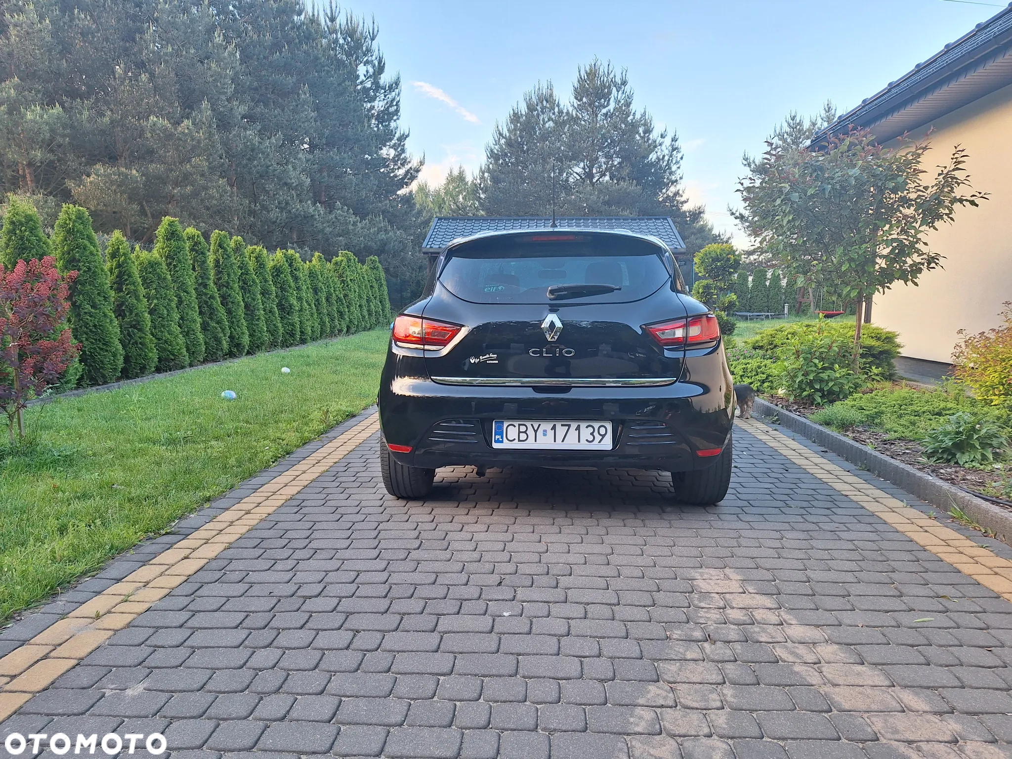 Renault Clio (Energy) TCe 90 Start & Stop LIMITED - 10