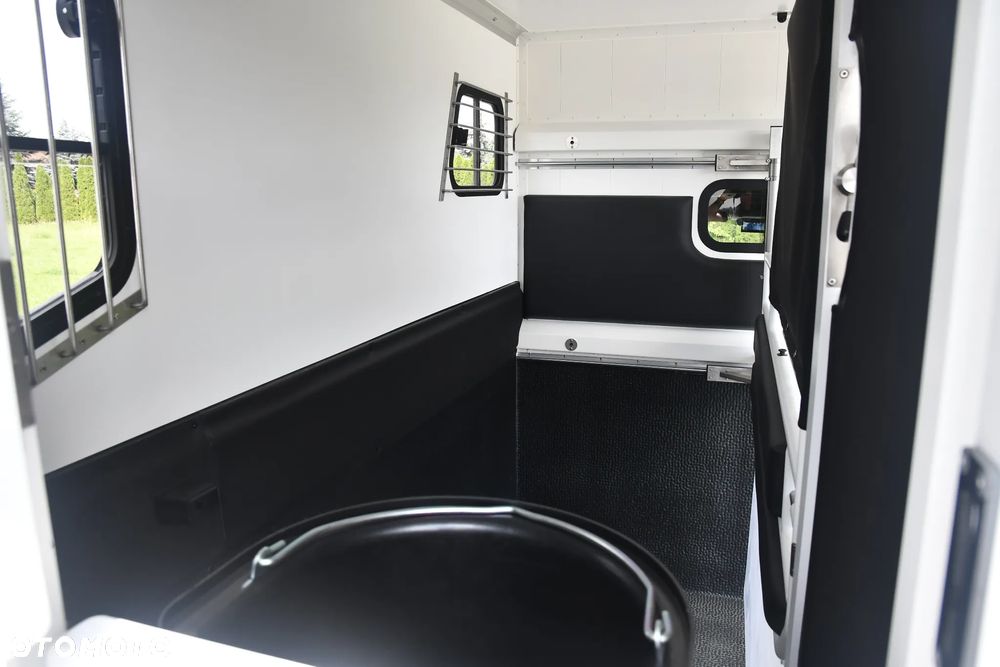 Renault Master Koniowóz - 37