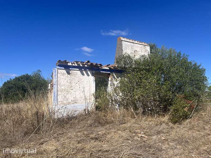 Terreno com 48ha de Natureza com Ruína de 53 m² – Ideal Projeto Rural