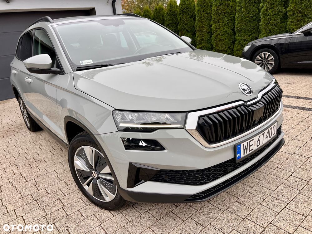 Skoda Karoq - 20