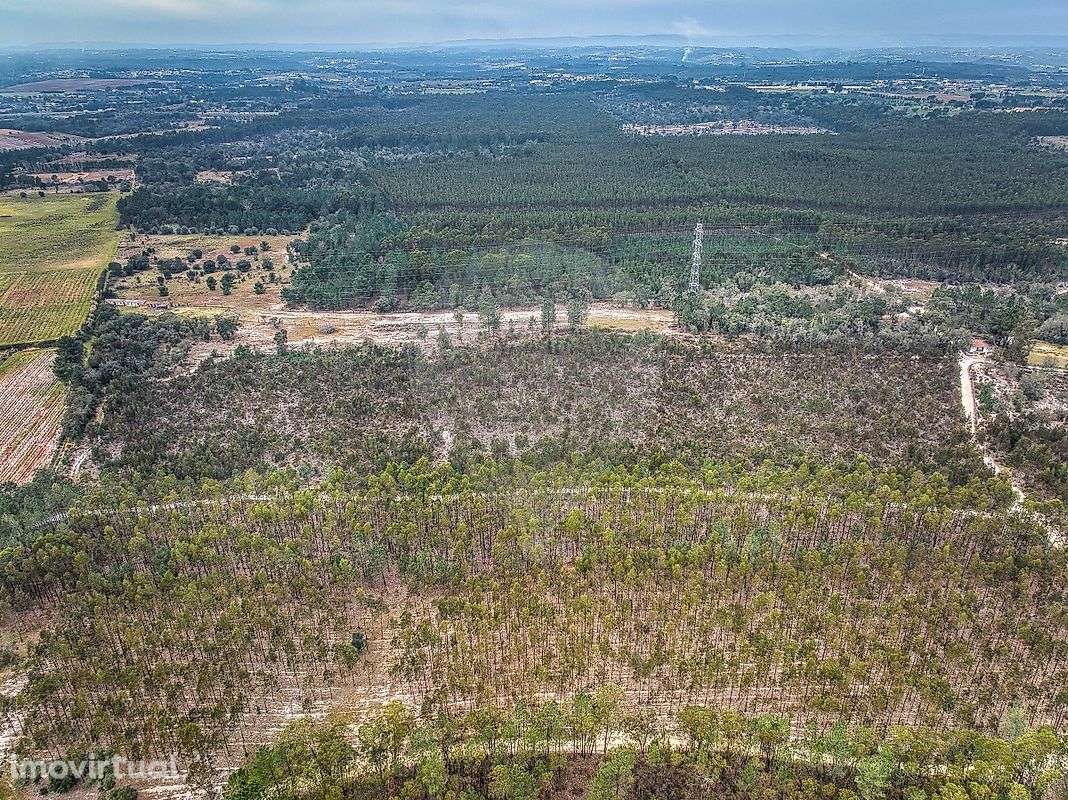 Terreno  para venda - Grande imagem: 2/18