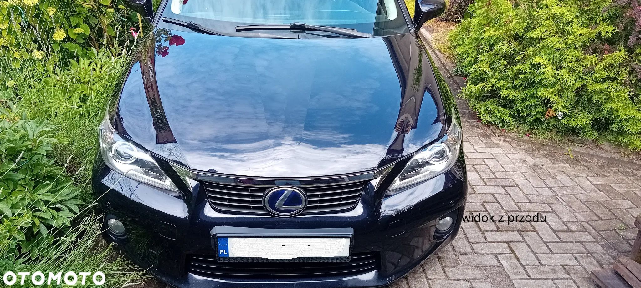 Lexus CT - 1