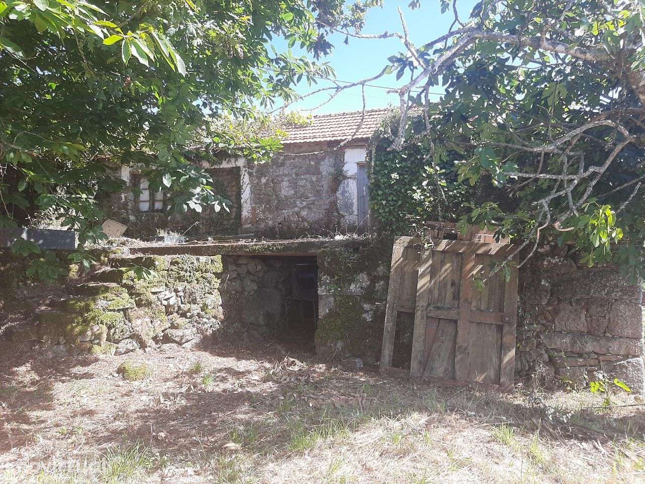 Quintinha com moradia e anexos em pedra para restauro - Grande imagem: 3/11