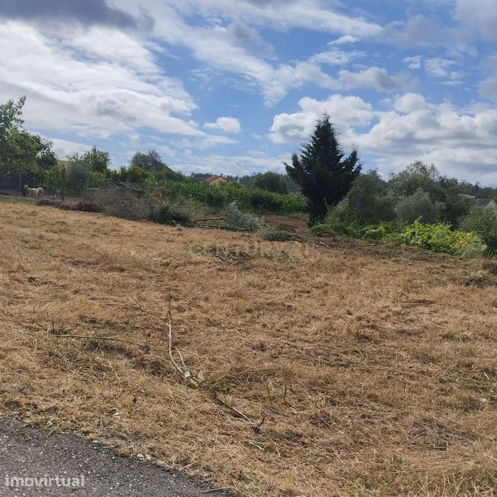 Terreno em Simões, Soure. - Grande imagem: 5/14