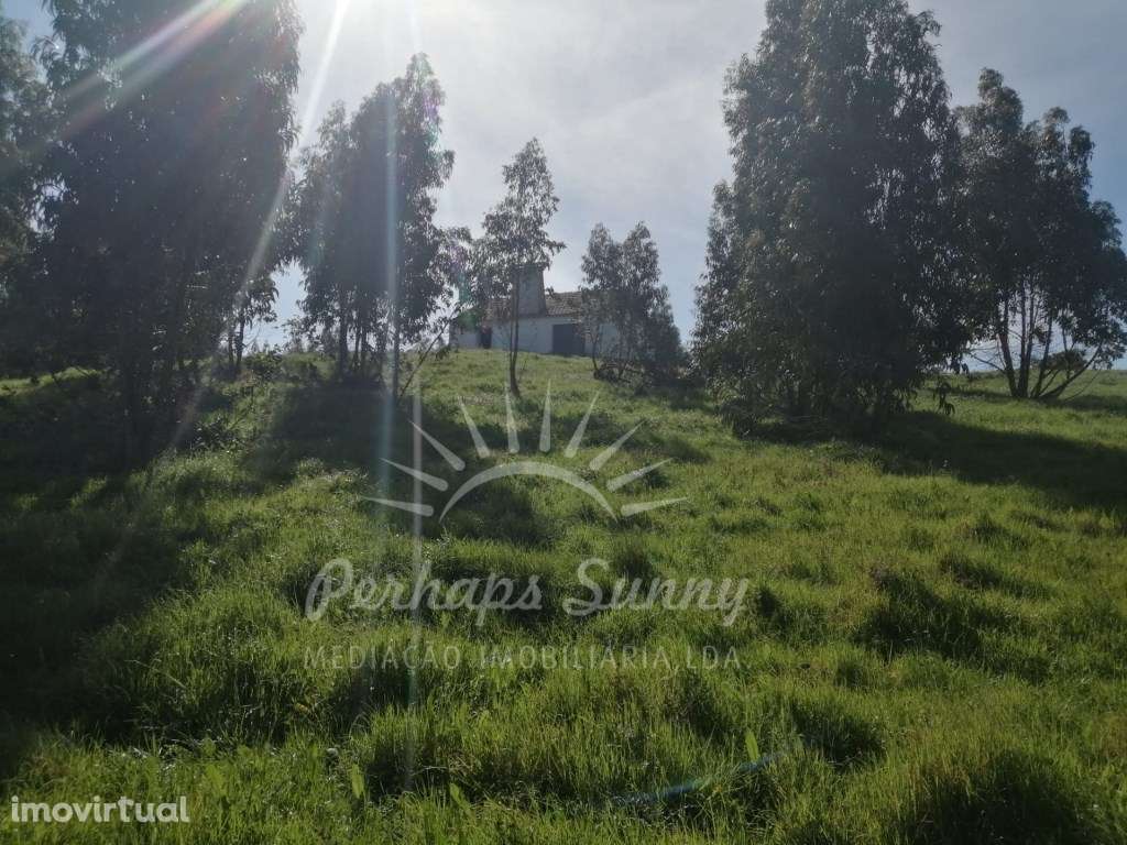 Quinta com casas para recuperar - Grande imagem: 2/47