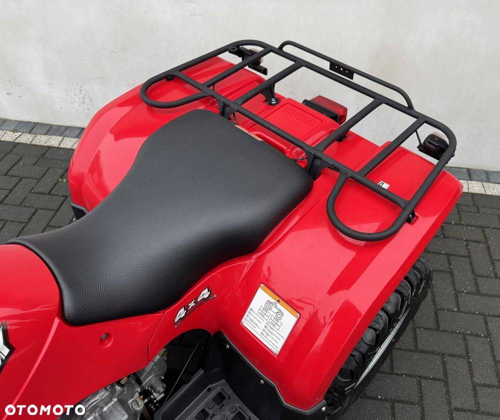 Yamaha Grizzly - 13