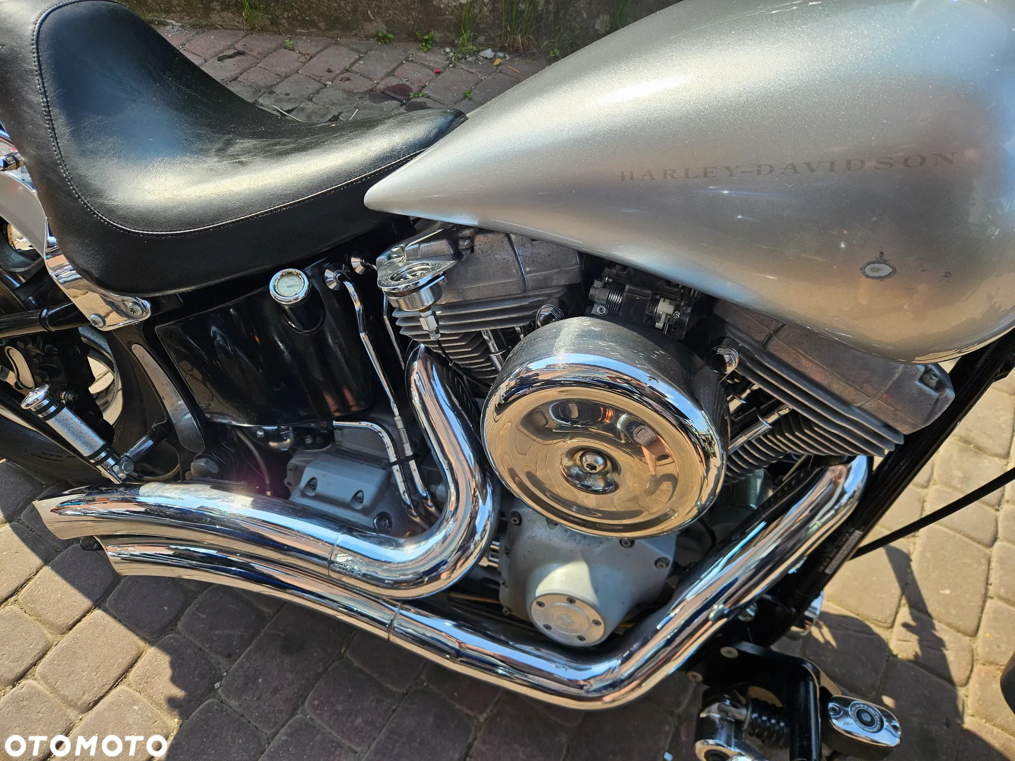 Harley-Davidson Softail Standard - 8