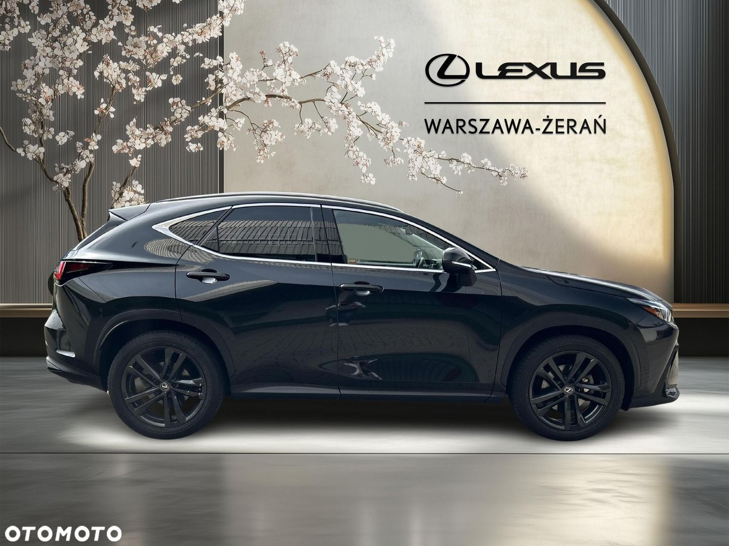 Lexus NX - 8