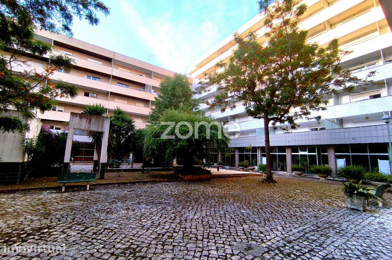 T2 para Arrendamento | Aura Curia | Curia – Anadia - Grande imagem: 3/20