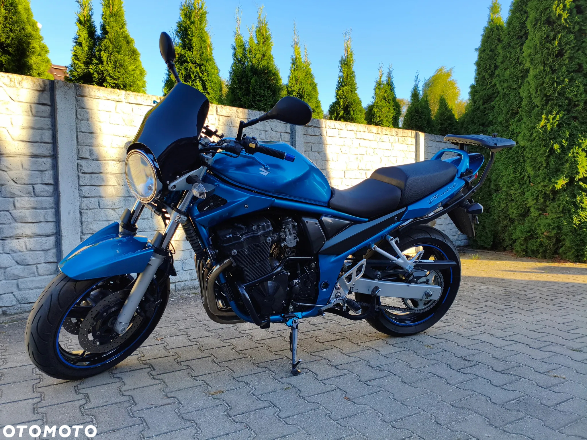 Suzuki Bandit - 5