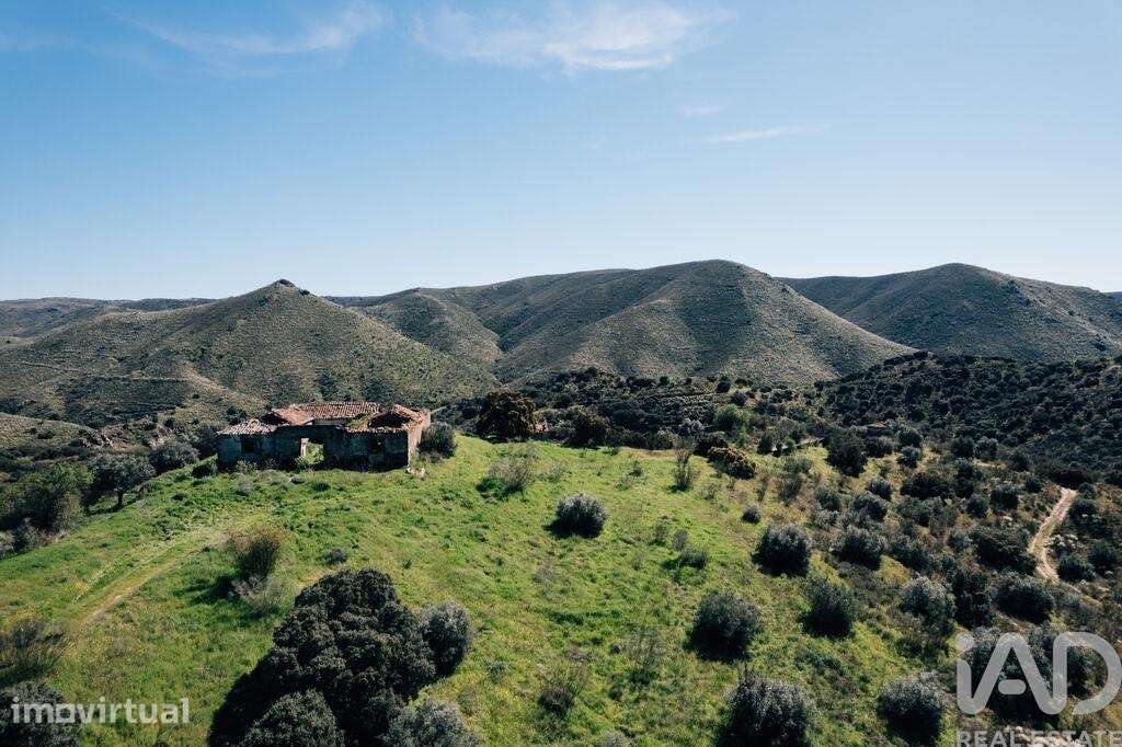 Quinta em Chãs de 1720000 m2 - Grande imagem: 2/40